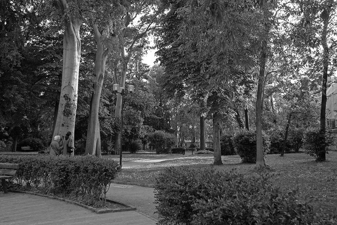 Giardini segreti di Venezia: Giardini Savorgnan 