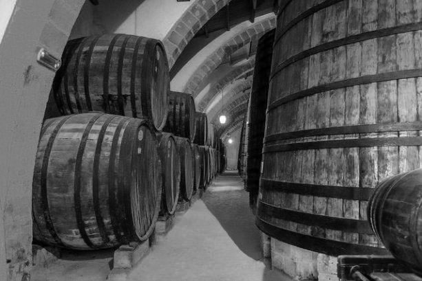 Marsala wine barrels Sicily